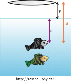 Pozorování ryby skrz spojnou čočku