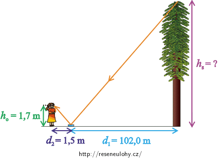 Měření výšky stromu