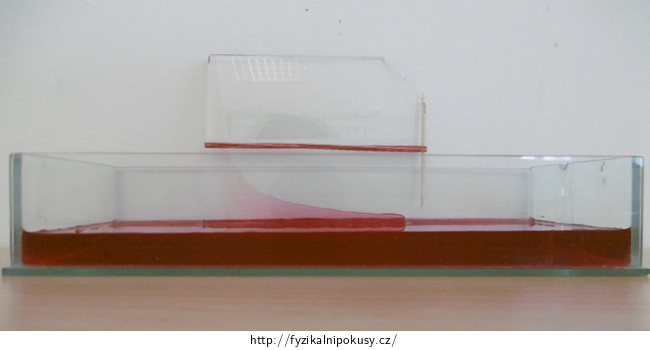 Obr. 3: Sklíčka v nádobě s obarvenou vodou